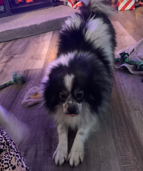 Luna