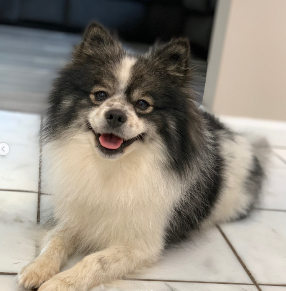 Luna